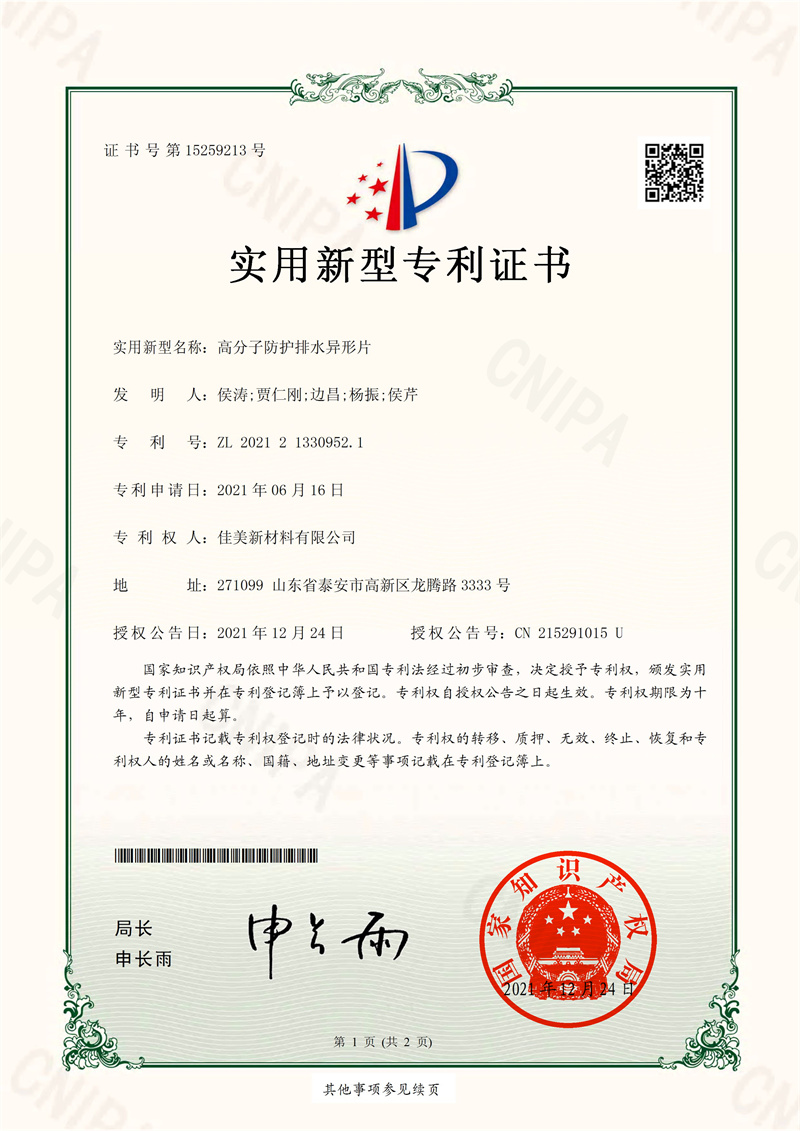 6专利高分子防护排水异形片.jpg